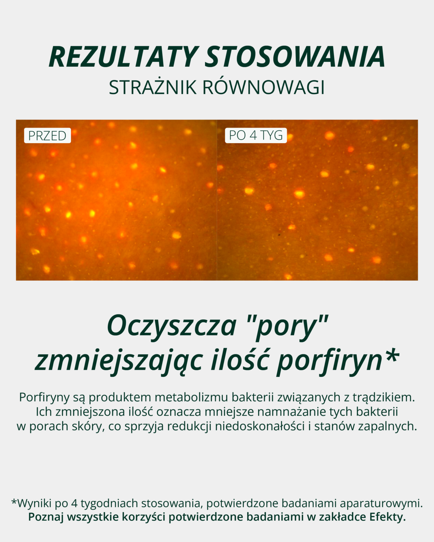 Strażnik równowagi