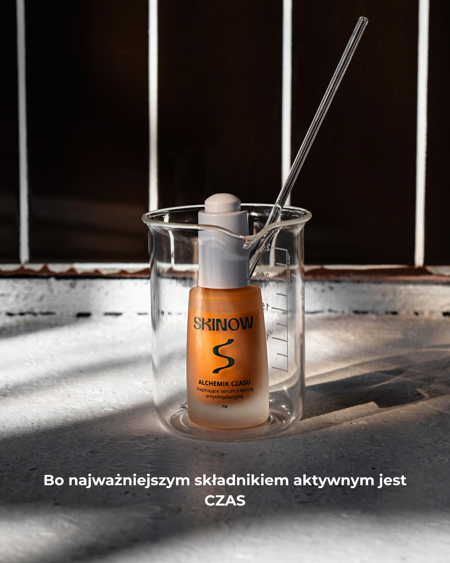 Alchemik Czasu